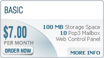 Hosting Package 1